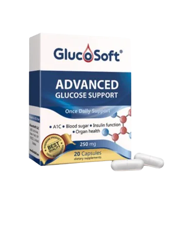 GlucoSoft photo